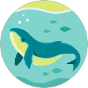 吳小飛 profile picture